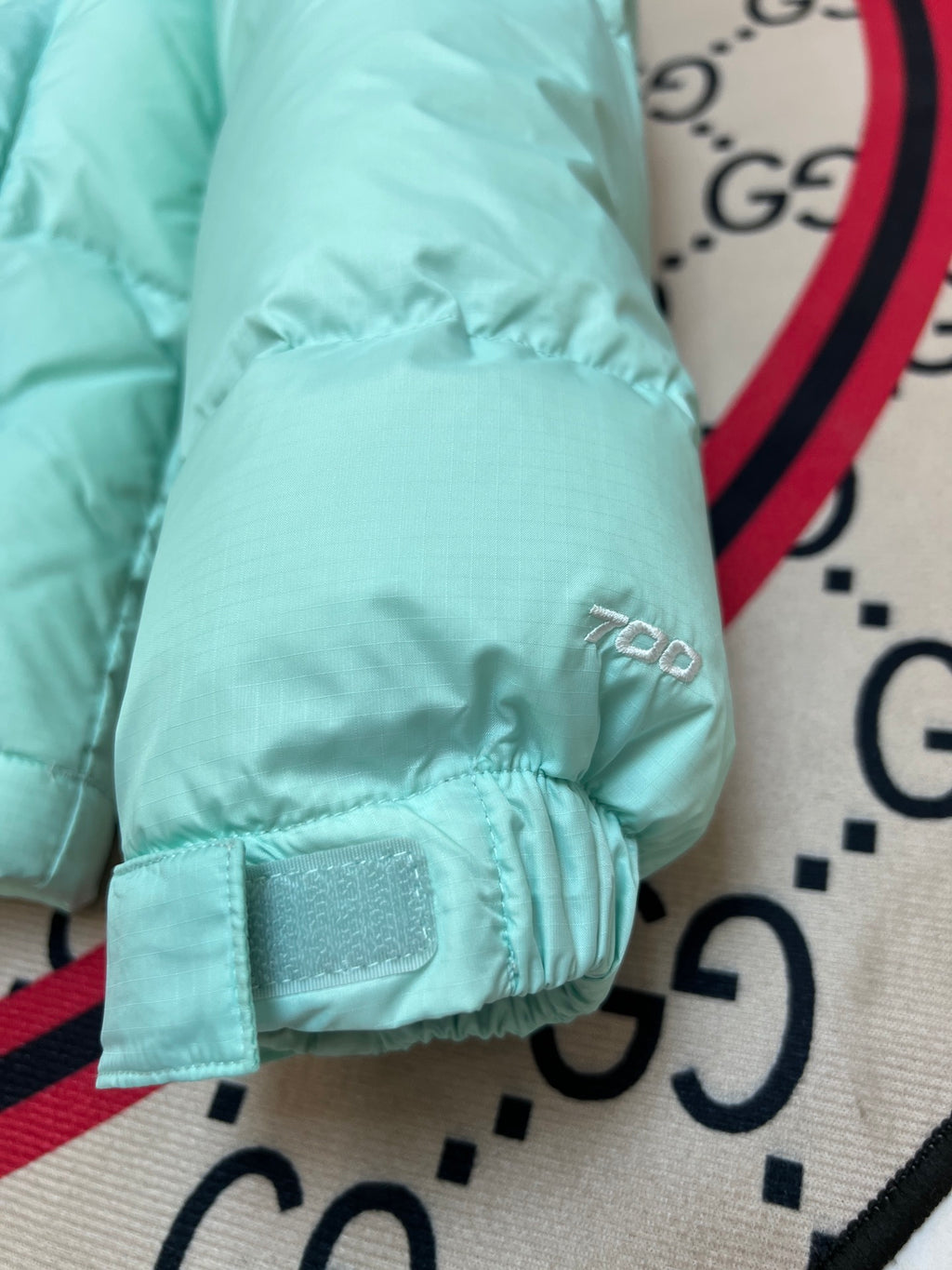 The North Face Nuptse 700 Down Jacket Mint Green Black