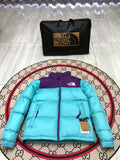 The North Face Nuptse 700 Down Jacket Teal Blue Purple Lining