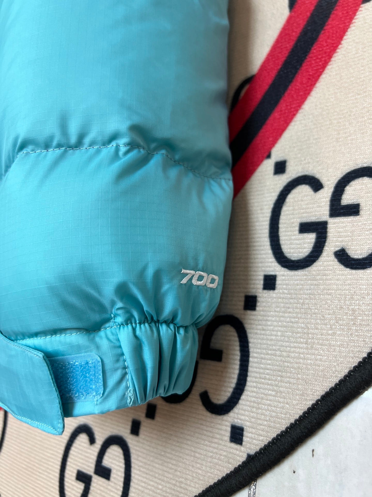 The North Face Nuptse 700 Down Jacket Teal Blue Purple Lining